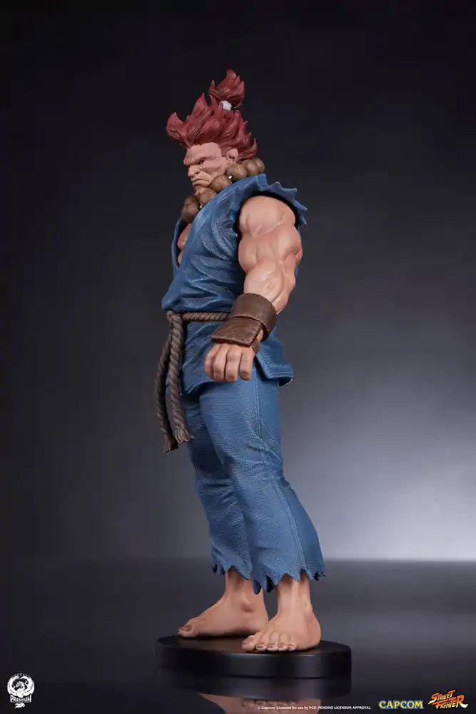 Street Fighter Figurki PVC 1/10 Akuma & Dhalsim 21 cm zdjęcie produktu