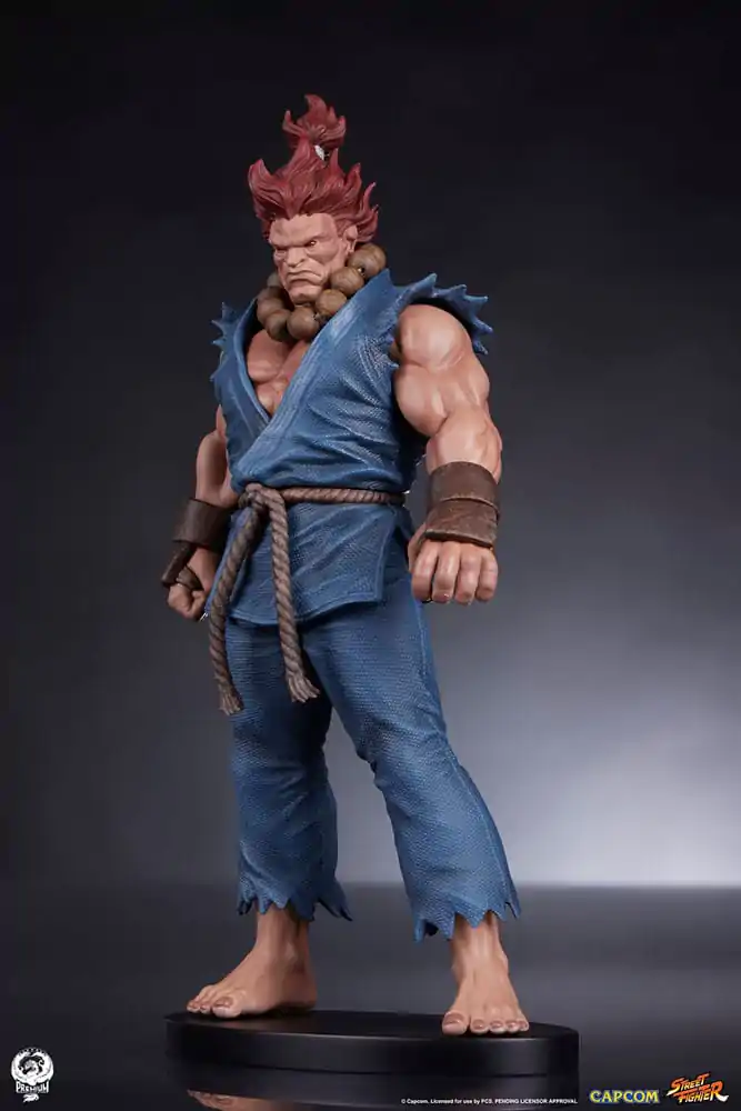 Street Fighter Figurki PVC 1/10 Akuma & Dhalsim 21 cm zdjęcie produktu