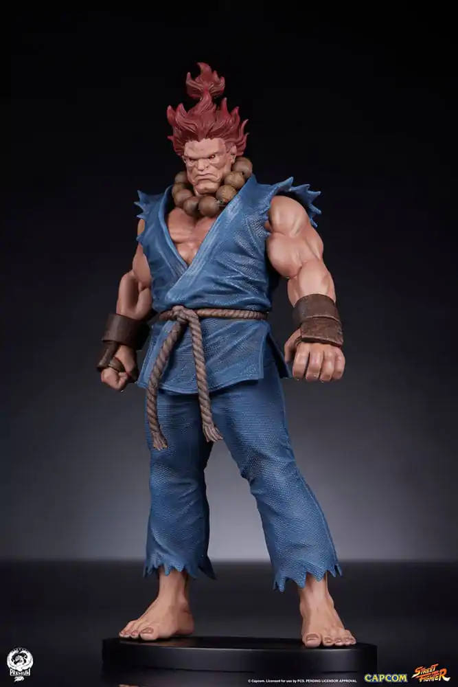 Street Fighter Figurki PVC 1/10 Akuma & Dhalsim 21 cm zdjęcie produktu