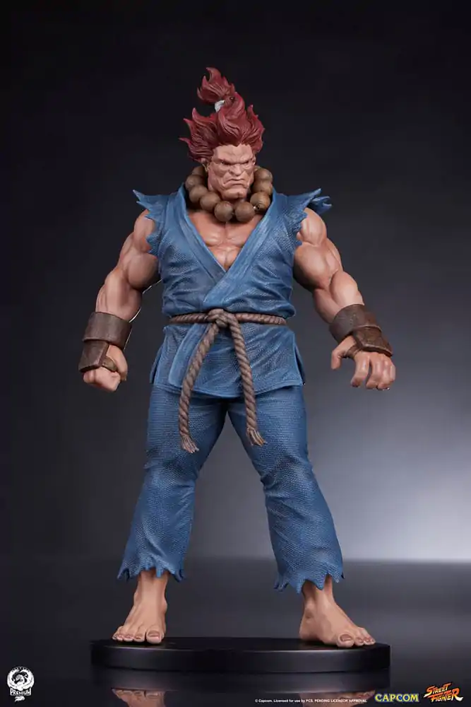 Street Fighter Figurki PVC 1/10 Akuma & Dhalsim 21 cm zdjęcie produktu