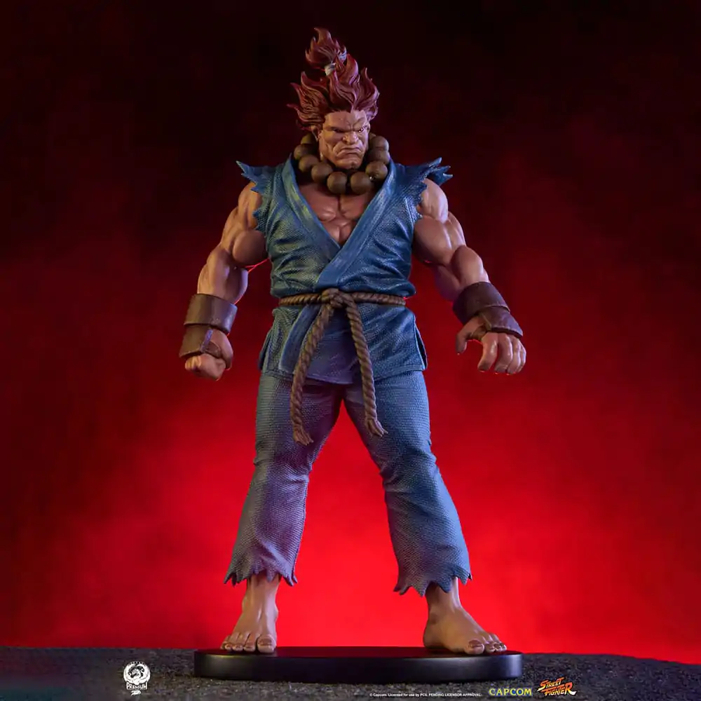 Street Fighter Figurki PVC 1/10 Akuma & Dhalsim 21 cm zdjęcie produktu