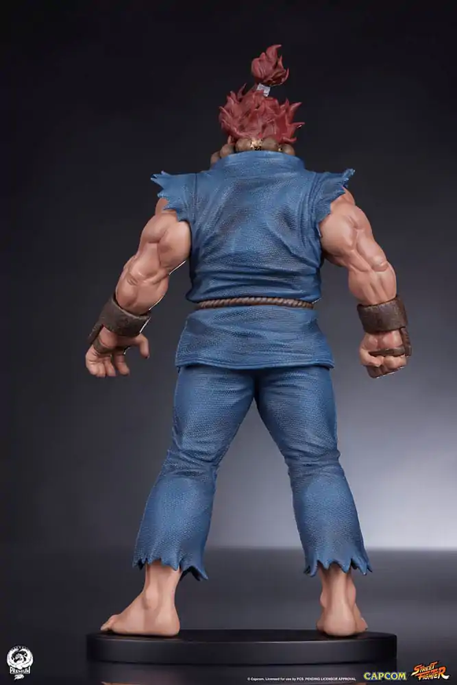 Street Fighter Figurki PVC 1/10 Akuma & Dhalsim 21 cm zdjęcie produktu