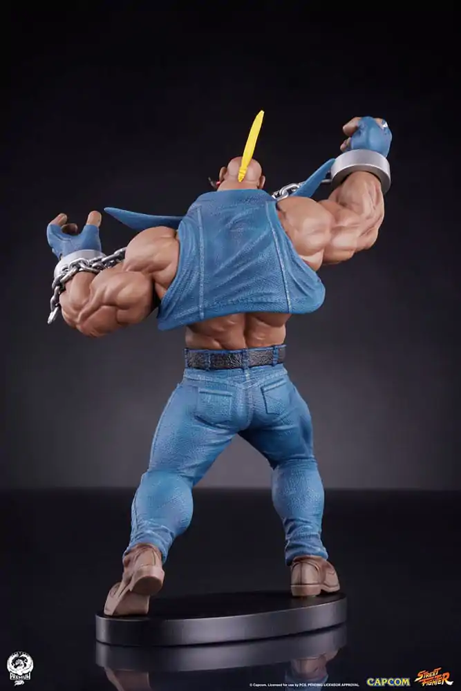 Street Fighter PVC Statues 1/10 Cammy & Birdie 24 cm Figurki zdjęcie produktu