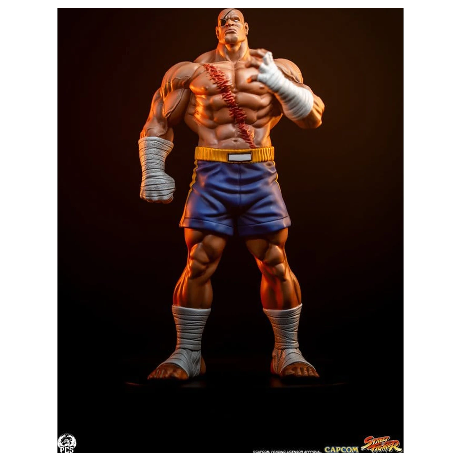 Street Fighter Street Jam Statuetki 1/10 Sagat & Juli 24 cm zdjęcie produktu