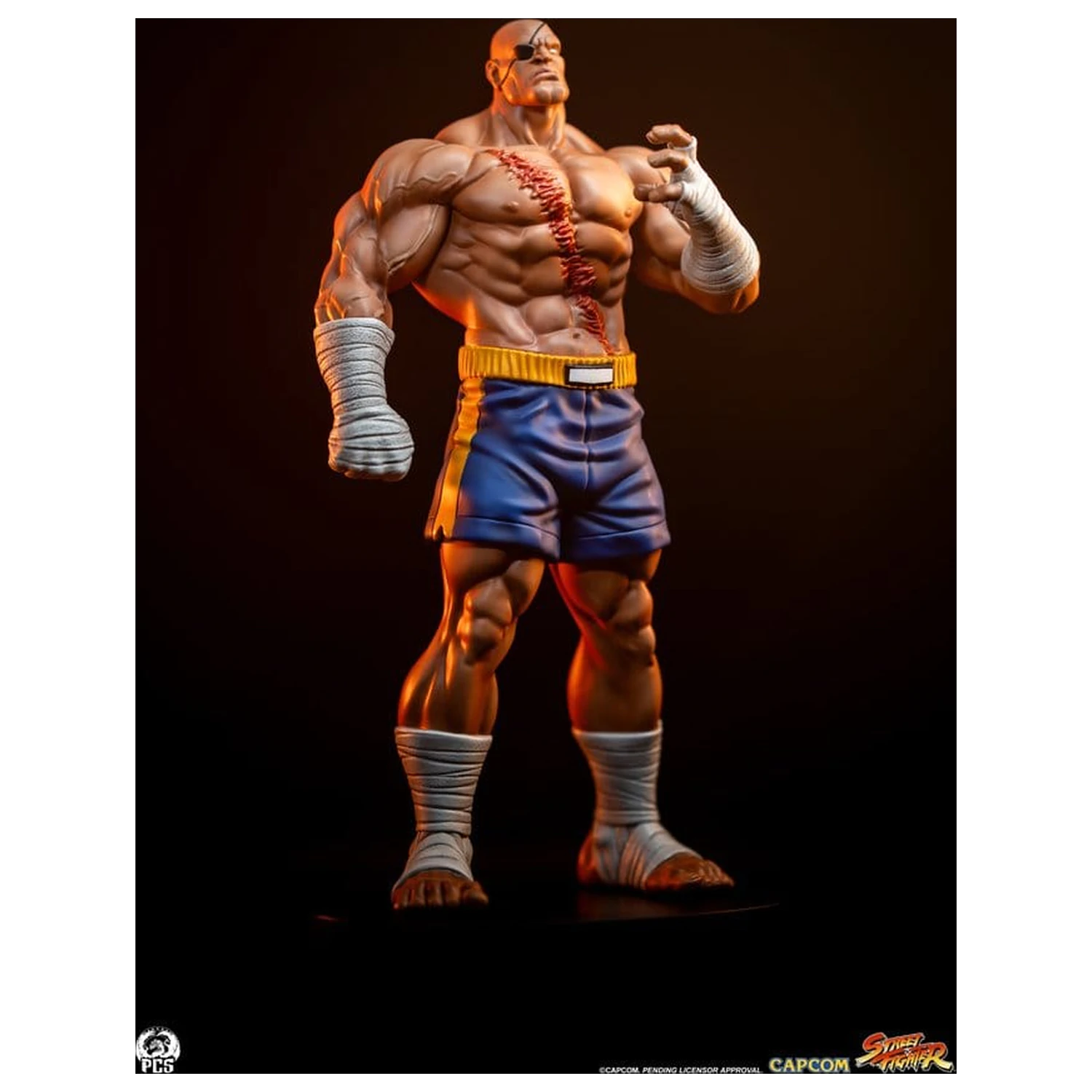 Street Fighter Street Jam Statuetki 1/10 Sagat & Juli 24 cm zdjęcie produktu