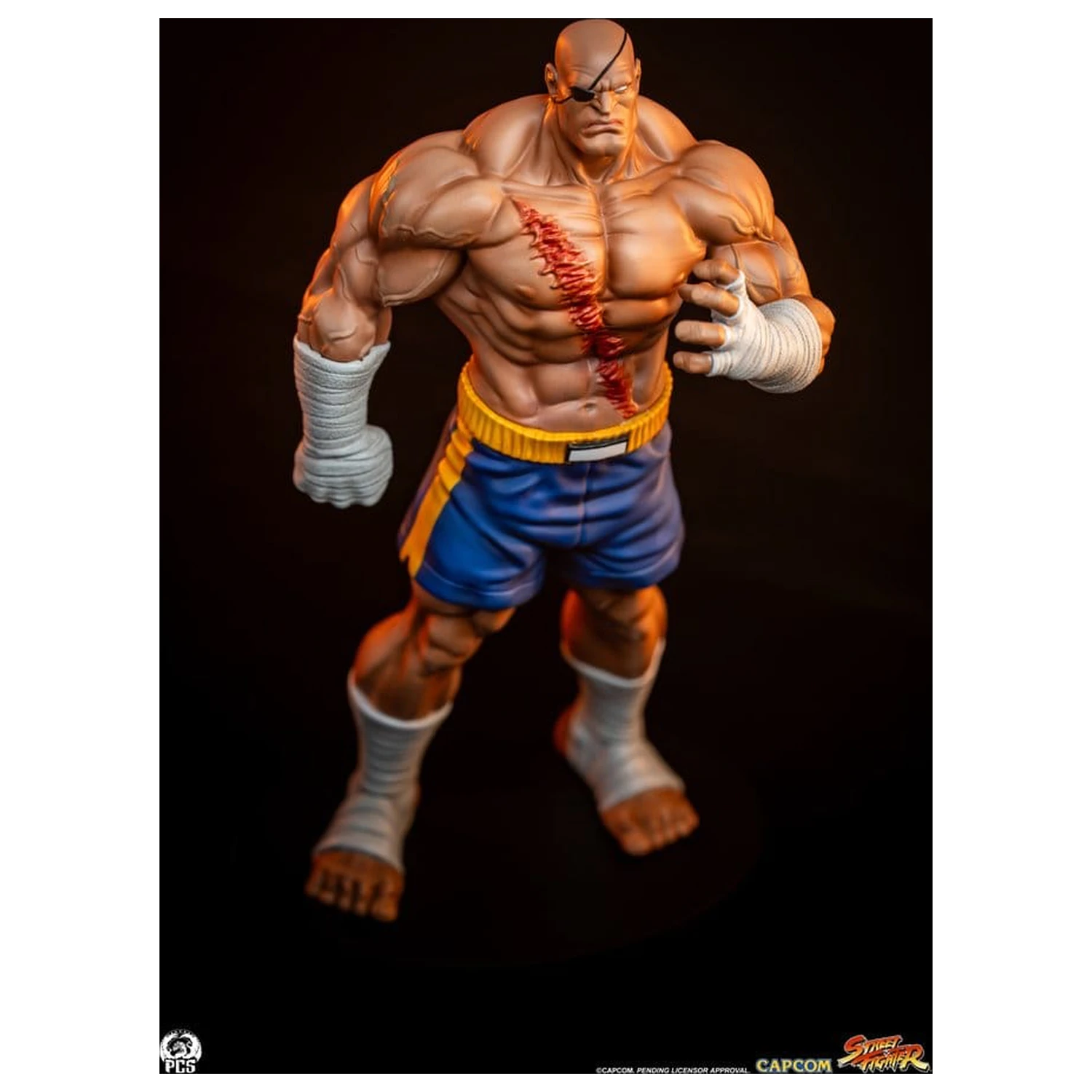 Street Fighter Street Jam Statuetki 1/10 Sagat & Juli 24 cm zdjęcie produktu