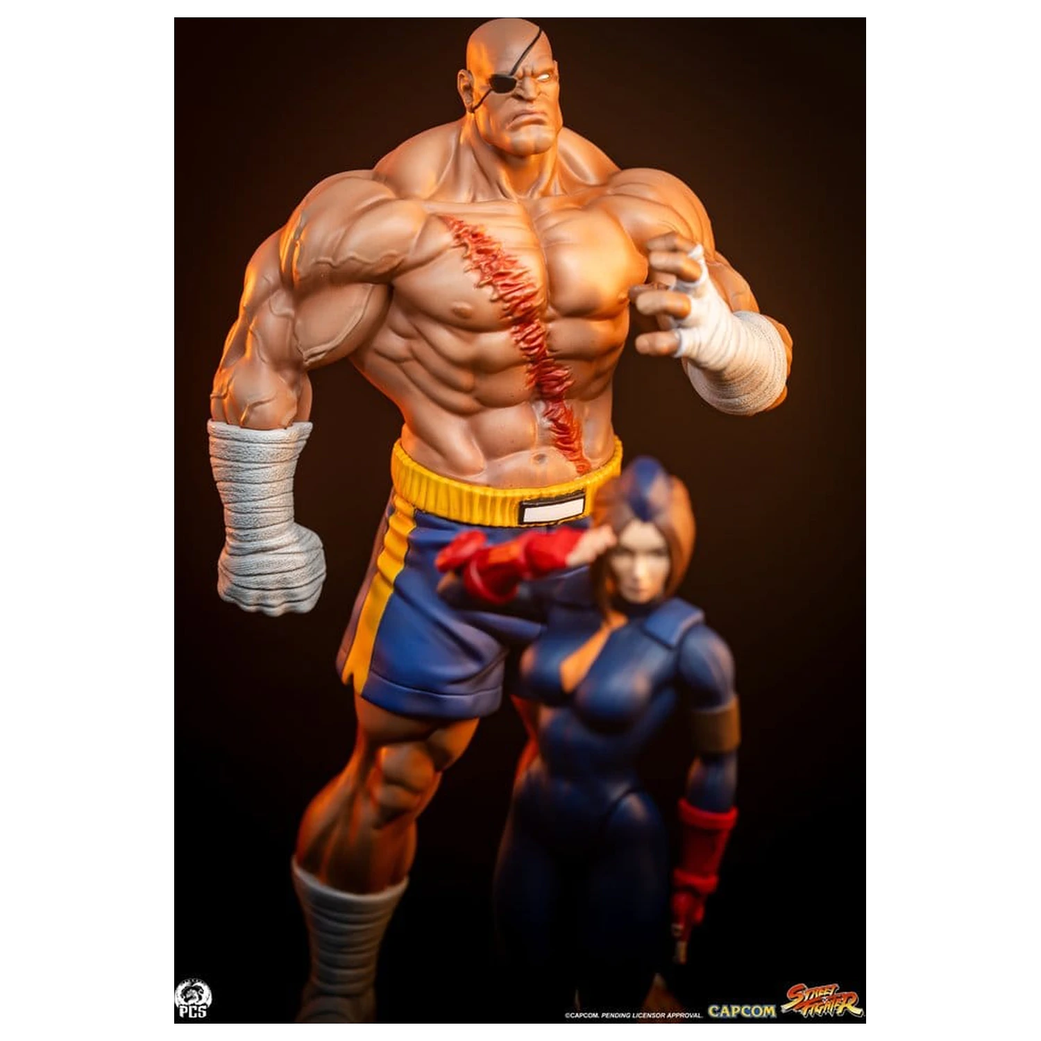 Street Fighter Street Jam Statuetki 1/10 Sagat & Juli 24 cm zdjęcie produktu