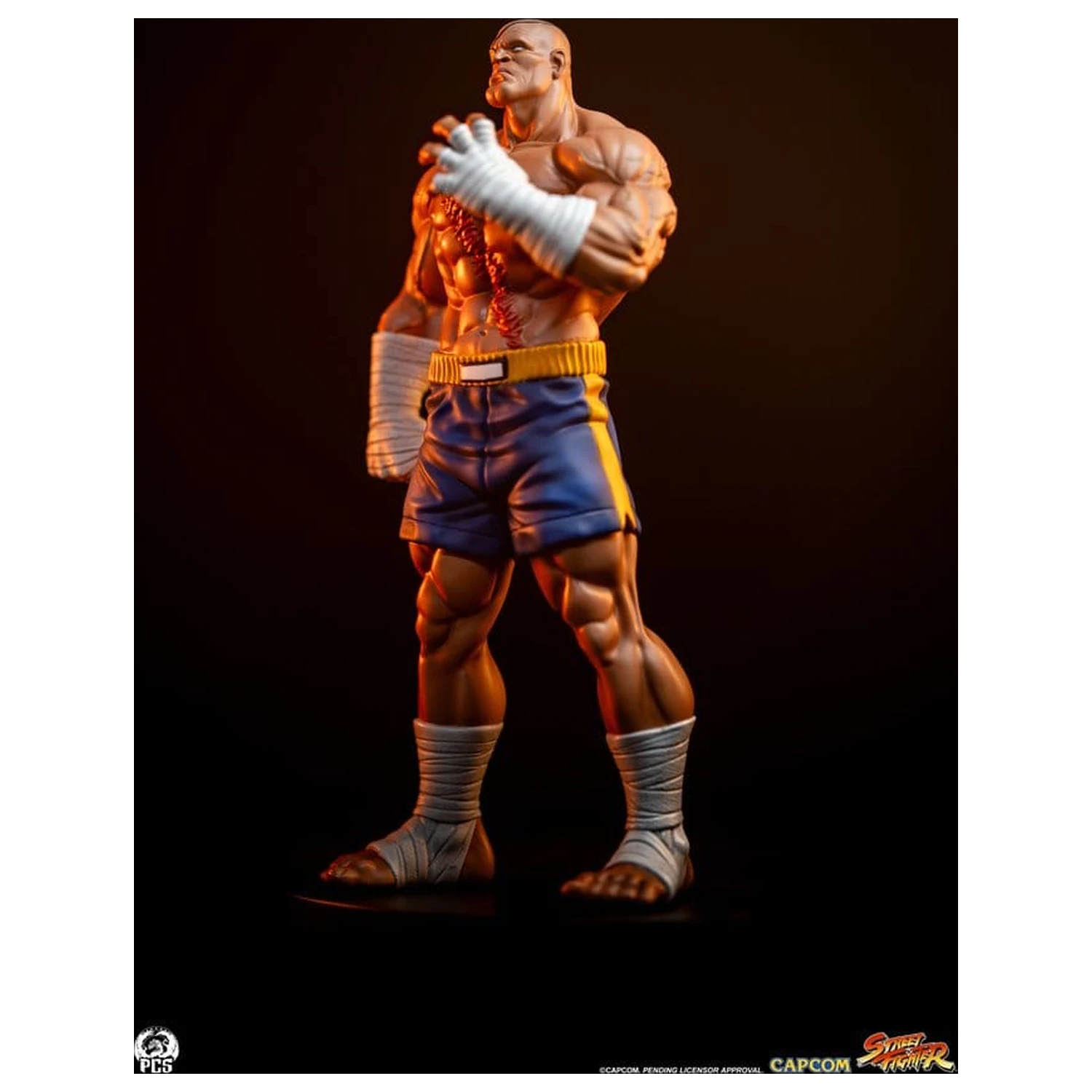 Street Fighter Street Jam Statuetki 1/10 Sagat & Juli 24 cm zdjęcie produktu