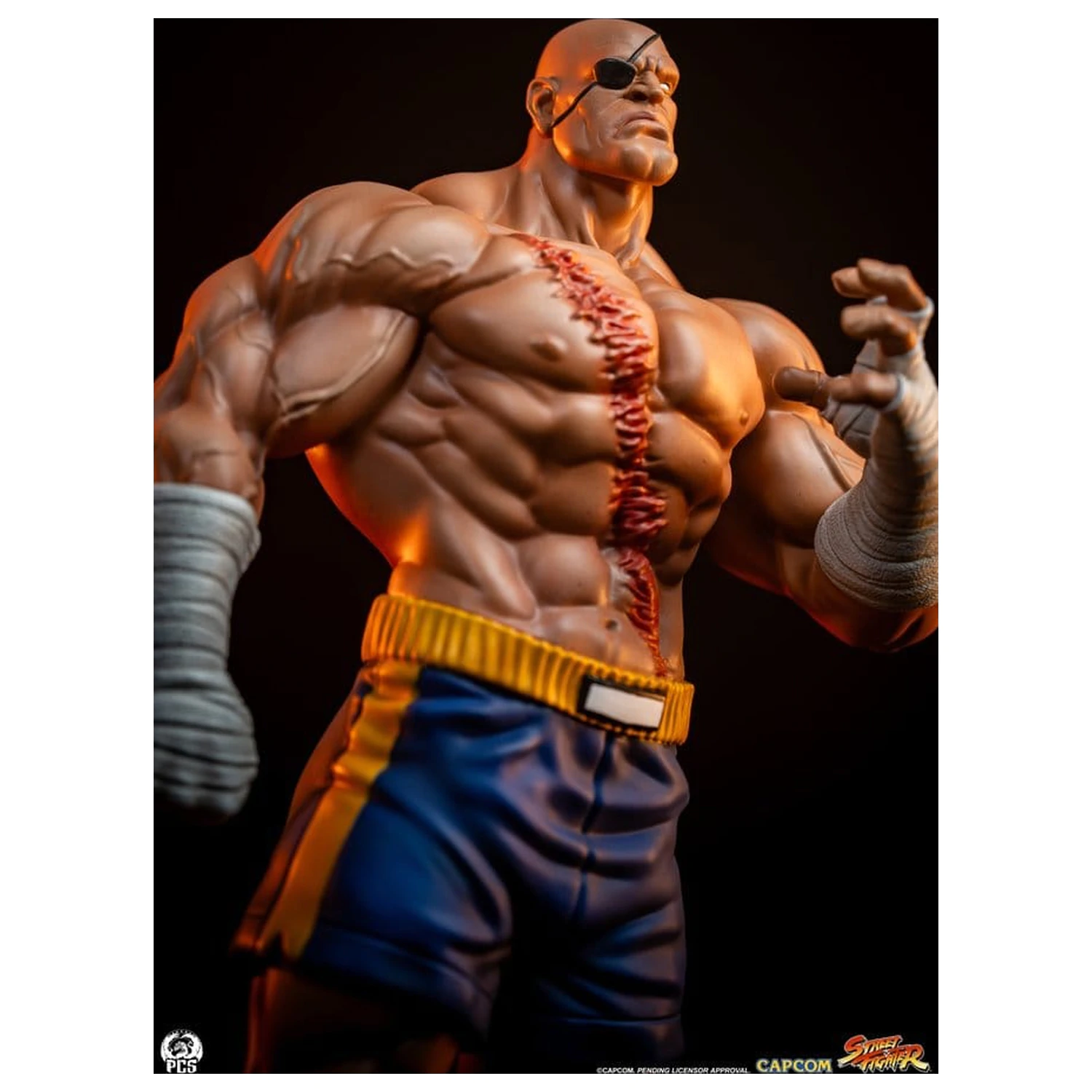 Street Fighter Street Jam Statuetki 1/10 Sagat & Juli 24 cm zdjęcie produktu