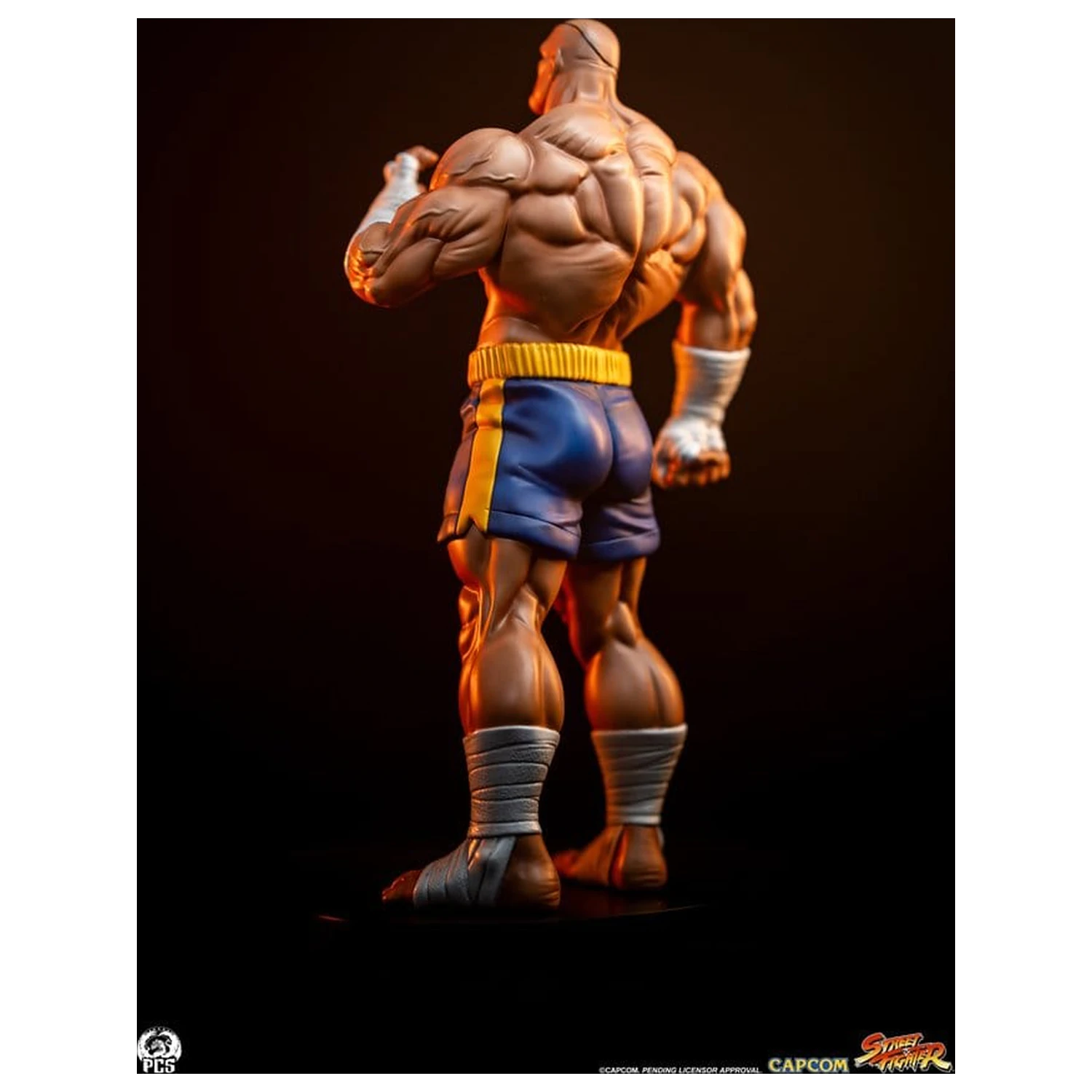 Street Fighter Street Jam Statuetki 1/10 Sagat & Juli 24 cm zdjęcie produktu