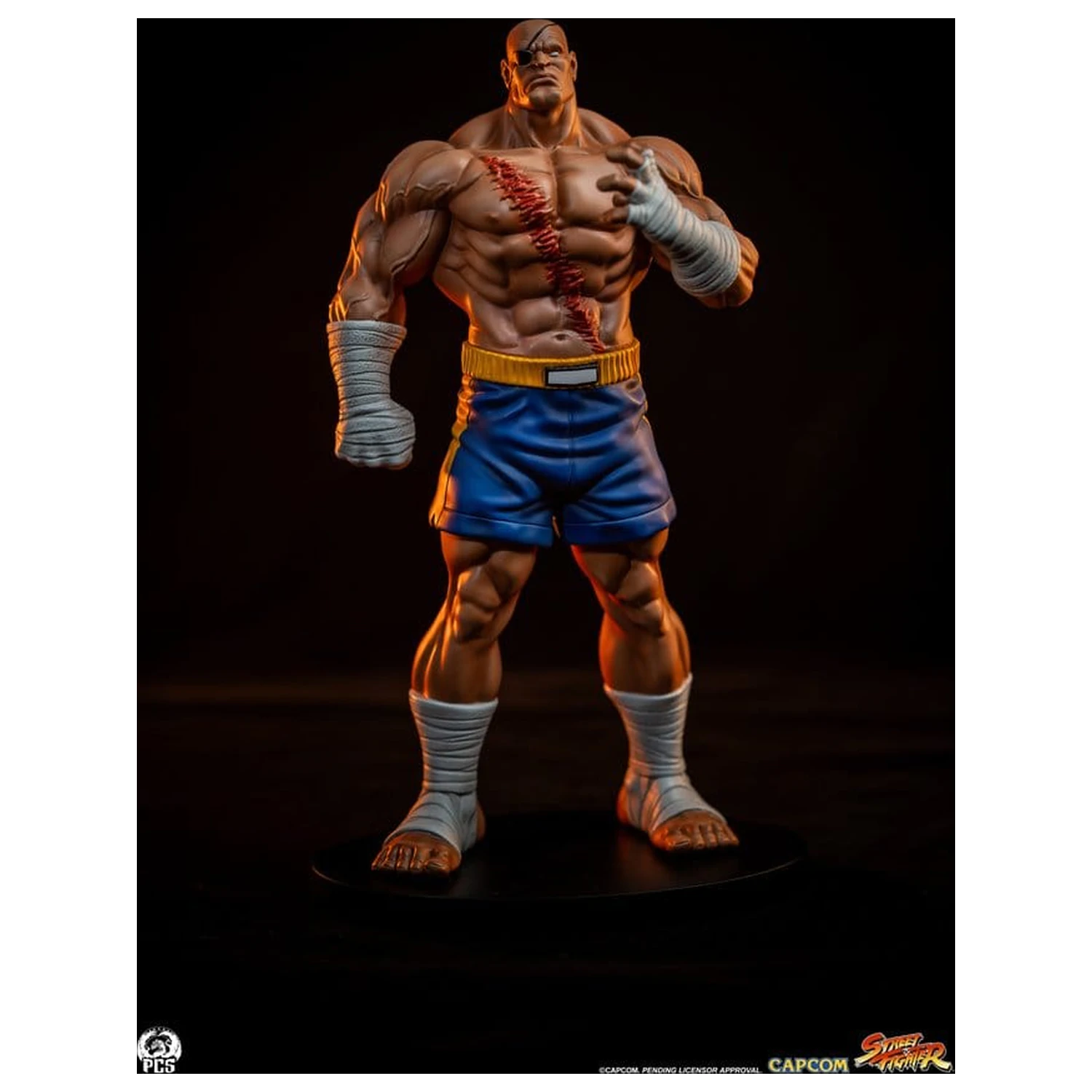 Street Fighter Street Jam Statuetki 1/10 Sagat & Juli 24 cm zdjęcie produktu