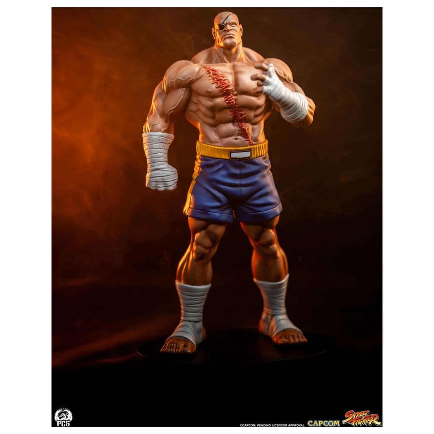 Street Fighter Street Jam Statuetki 1/10 Sagat & Juli 24 cm zdjęcie produktu