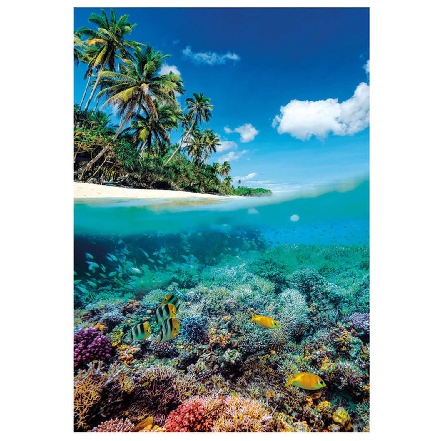 Summer Paradise puzzle 1000 elementów zdjęcie produktu