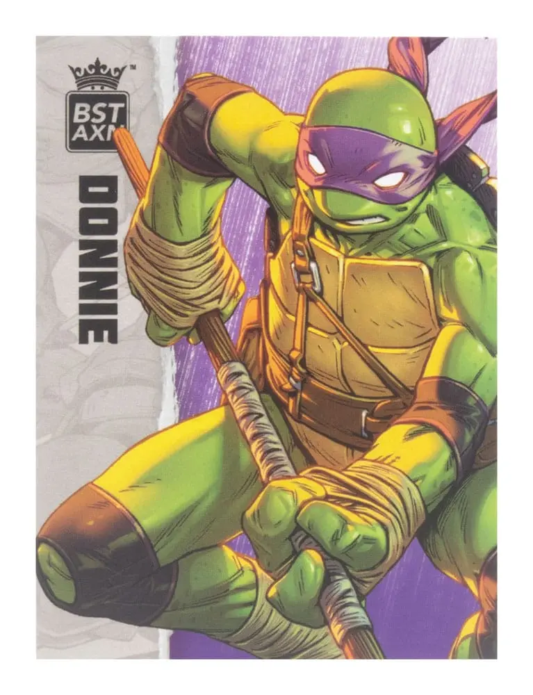 Teenage Mutant Ninja Turtles BST AXN Figurka Akcji Donatello (IDW Comics) 13 cm zdjęcie produktu