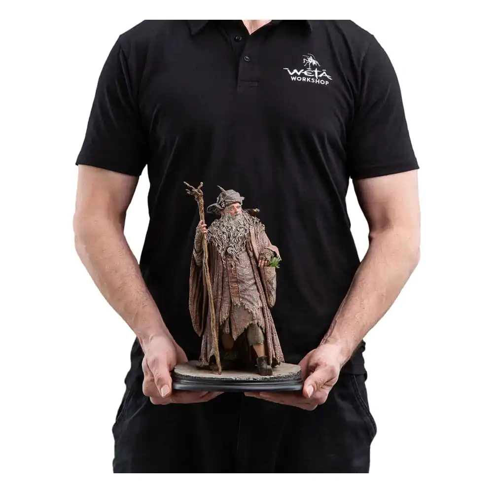 Figurka Władca Pierścieni 1/6 Radagast 30 cm zdjęcie produktu