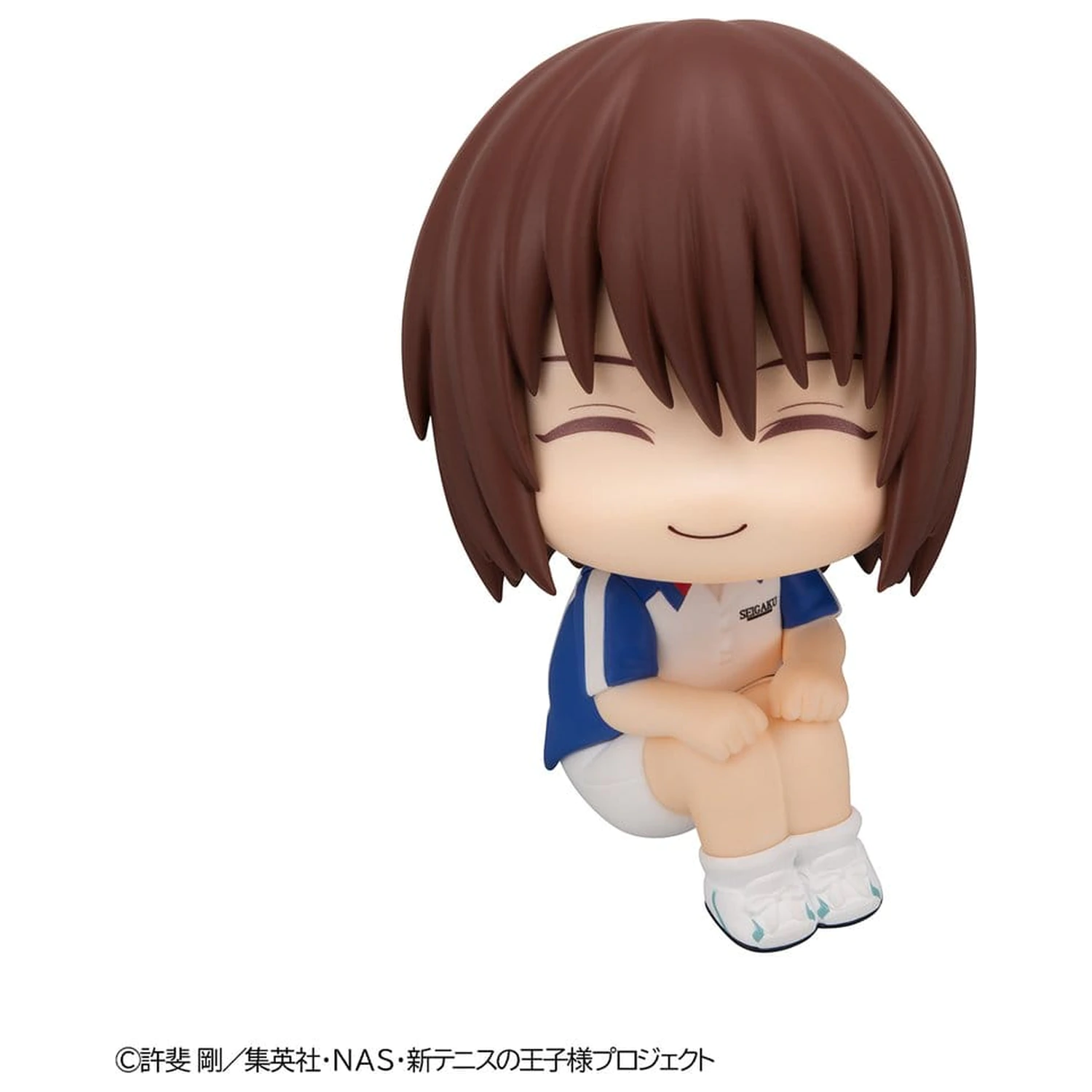 The New Prince of Tennis Look Up PVC Figure Shusuke Fuji 11 cm zdjęcie produktu