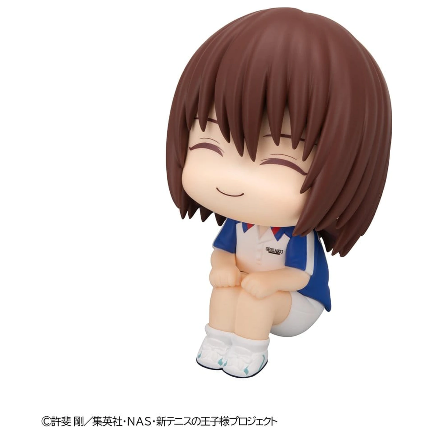 The New Prince of Tennis Look Up PVC Figure Shusuke Fuji 11 cm zdjęcie produktu