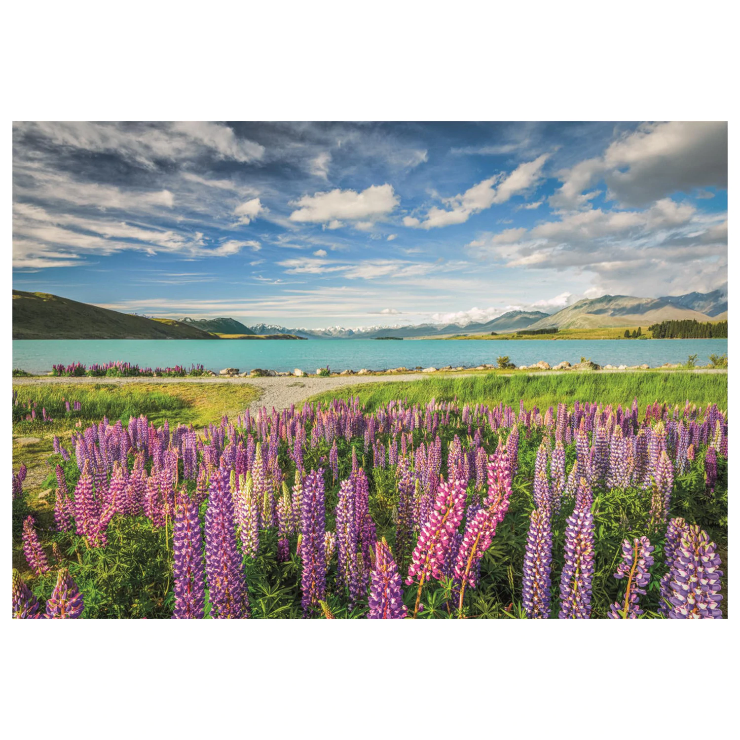 Puzzle New Zealand Lake Tekapo 1500-elementowe zdjęcie produktu