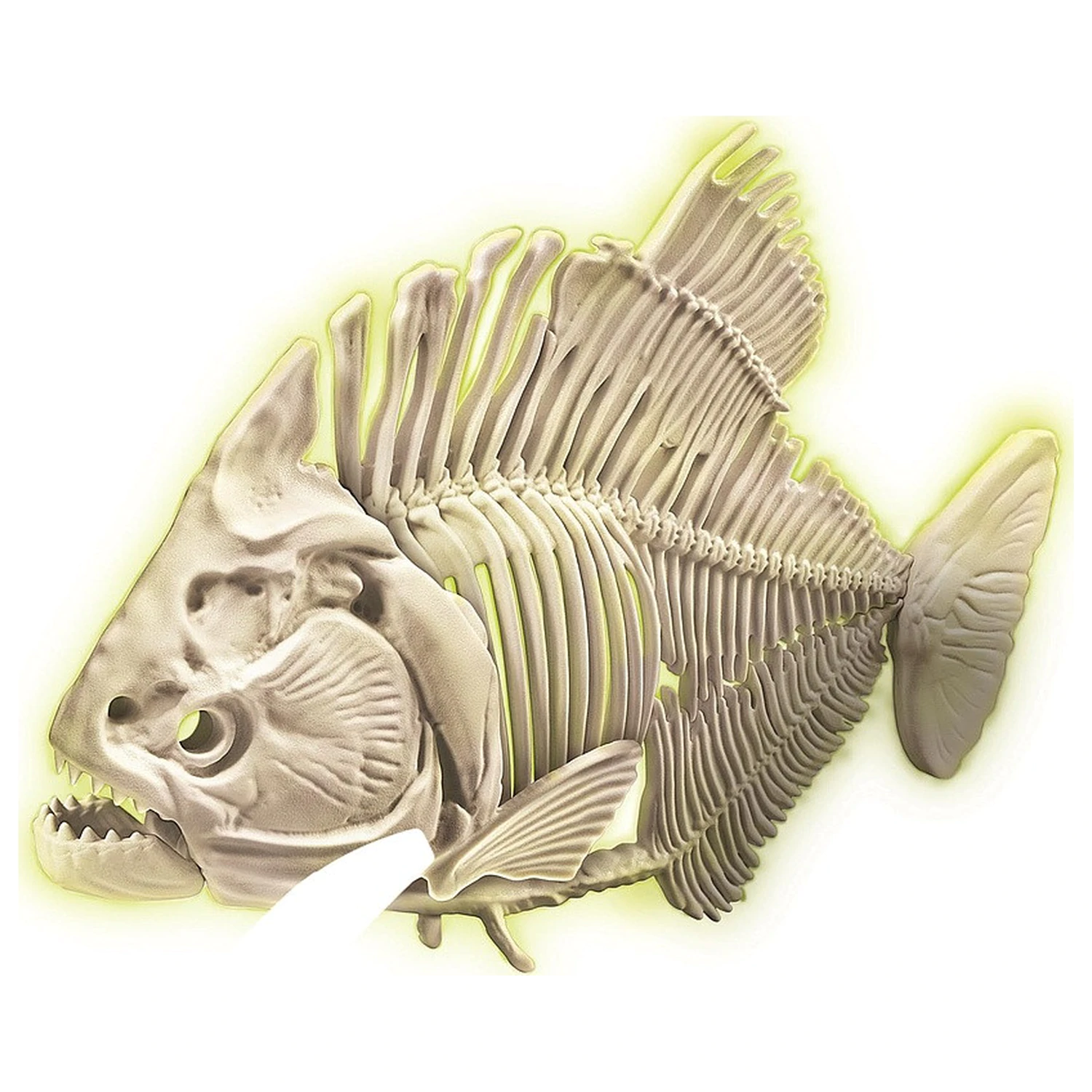 Zestaw Archeologiczny Glowing Piranha Archeo Fun zdjęcie produktu