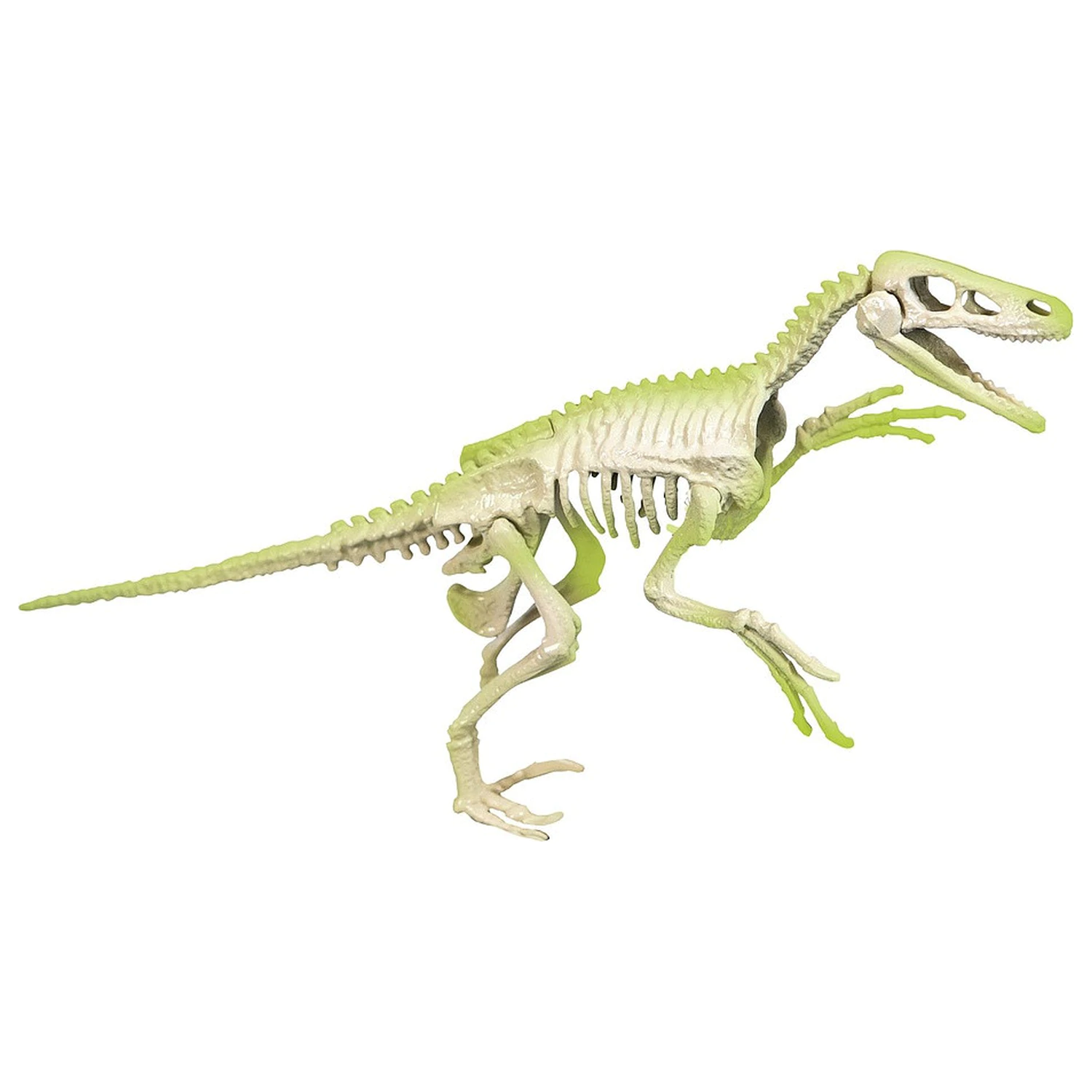 Zestaw archeologiczny Light-Up Velociraptor Archeo Fun zdjęcie produktu