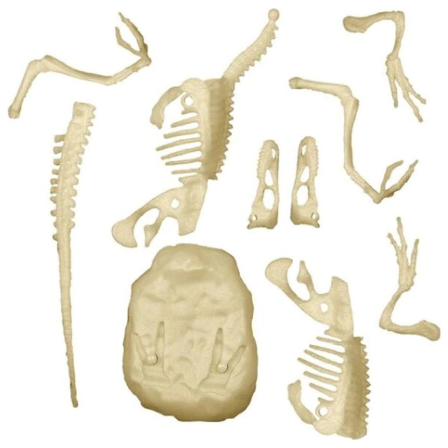 Zestaw archeologiczny Light-Up Velociraptor Archeo Fun zdjęcie produktu
