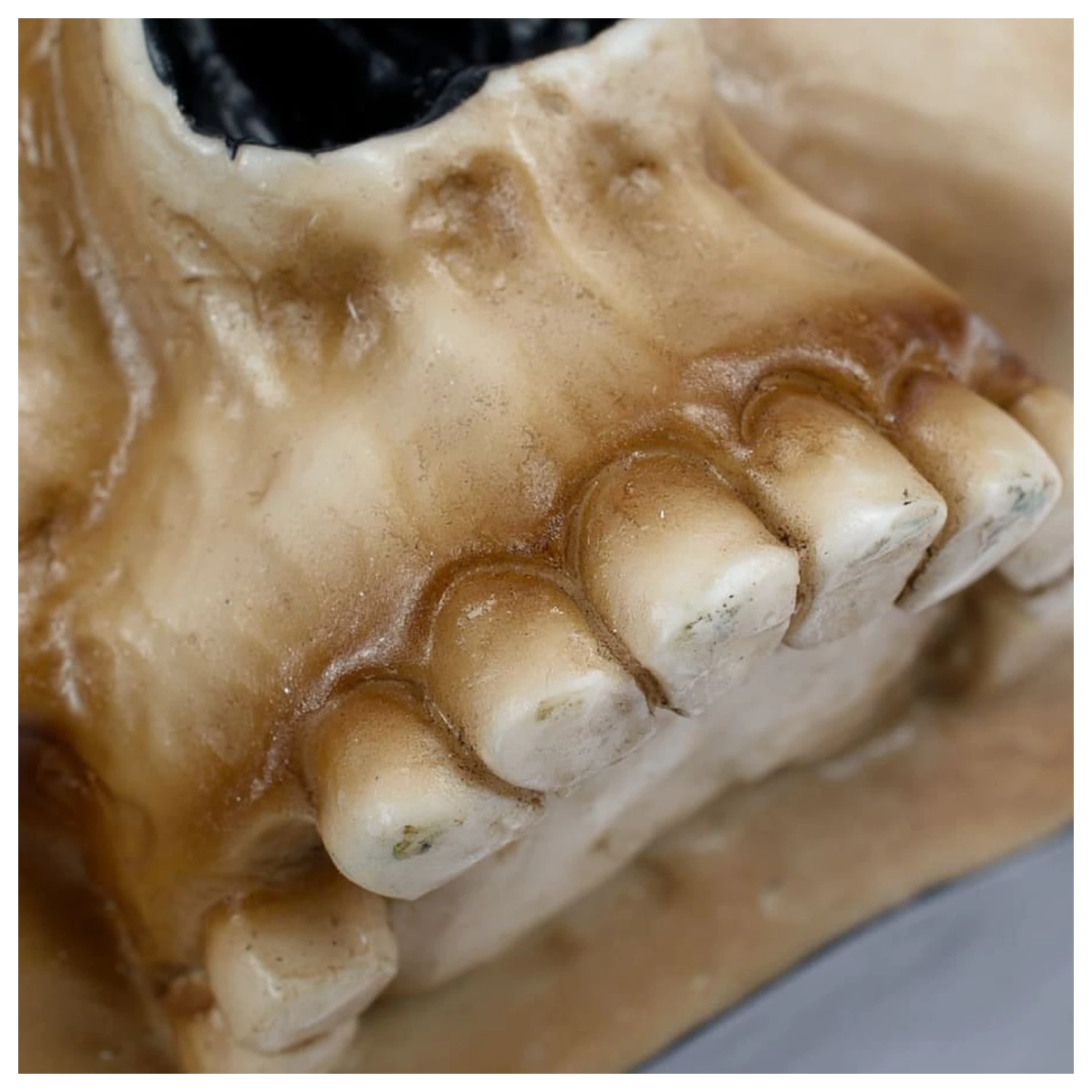 Kubek Warhammer 40,000 Servo Skull zdjęcie produktu