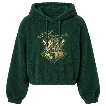 Harry Potter Bluza z kapturem Hogwarts zdjęcie produktu