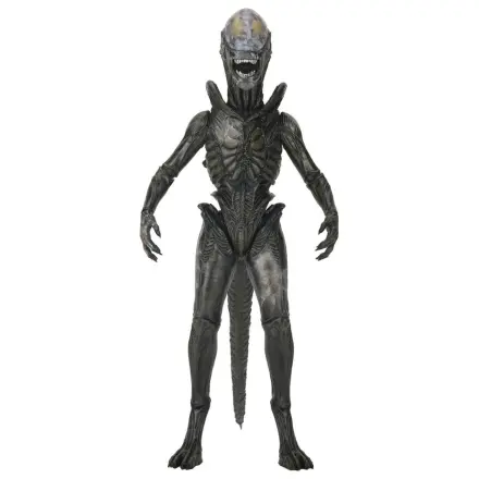 Alien: Earth Ultimate Action Figure Wendy's Xenomorph 18 cm zdjęcie produktu
