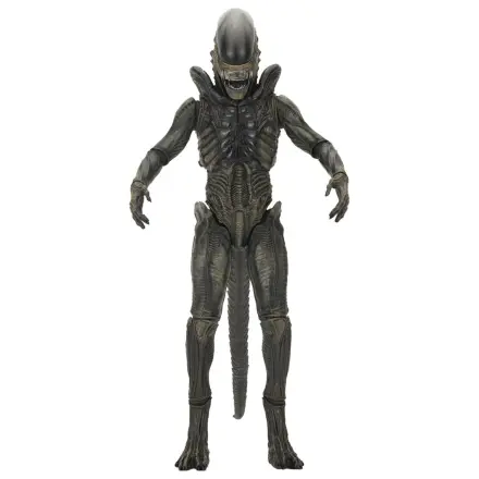 Alien: Earth Ultimate Action Figure Xenomorph 18 cm zdjęcie produktu