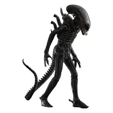 Alien Movie Masterpiece Figurka Akcji 1/6 Big Chap 36 cm zdjęcie produktu