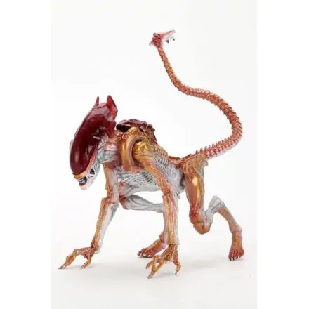 Figurka Akcji Obcy Panther Alien (Hołd dla Kennera) 23 cm termékfotója