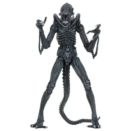 Aliens Ultimate Action Figure Warrior (1986) Niebieski 23 cm zdjęcie produktu