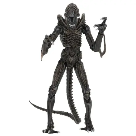 Aliens Ultimate Action Figure Warrior (1986) Brązowy 23 cm zdjęcie produktu
