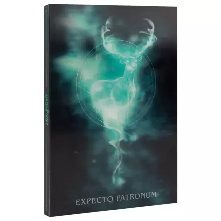 Harry Potter Notatnik soczewkowy A5 zdjęcie produktu