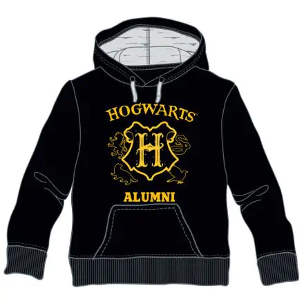 Harry Potter Hogwarts Alumni dziecięca bluza z kapturem termékfotója