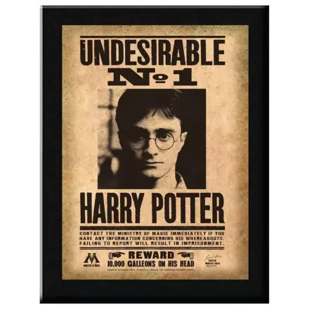 Tabliczka ścienna Harry Potter Indesirable N°1 zdjęcie produktu