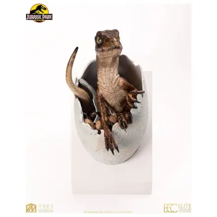 Jurassic Park Replika Biustu Velociraptora z Wykluwającego się Jaja 24 cm zdjęcie produktu
