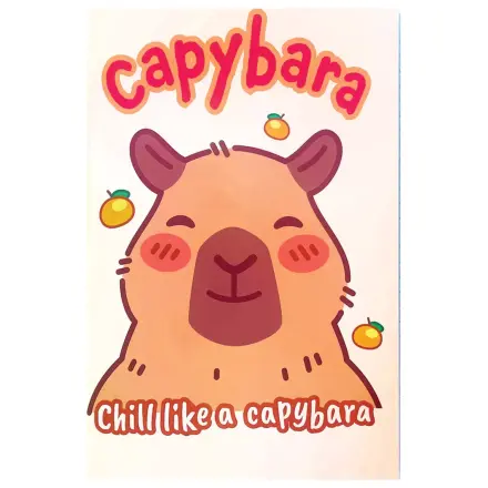 Capybara Chill B/5 Liniowany Notatnik 40 Stron zdjęcie produktu
