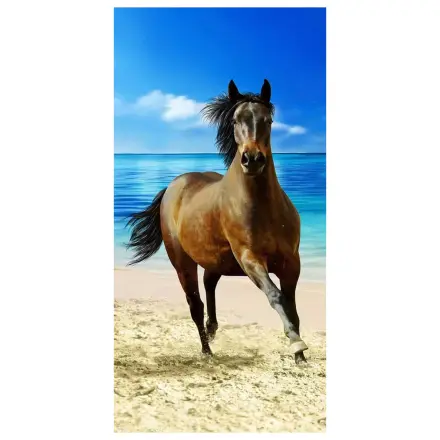 Rider Ręcznik plażowy 70x140cm zdjęcie produktu