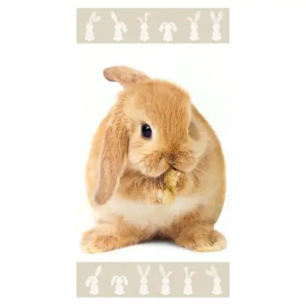 Ręcznik kąpielowy Bunny, ręcznik plażowy 70*140cm zdjęcie produktu
