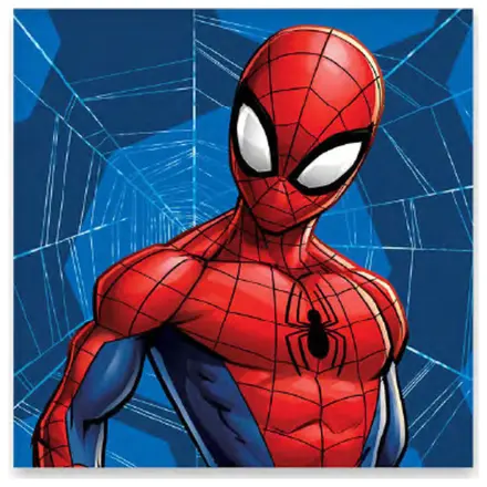 Ręcznik Spider-Man Web do rąk, ręcznik do twarzy, ręcznik zdjęcie produktu